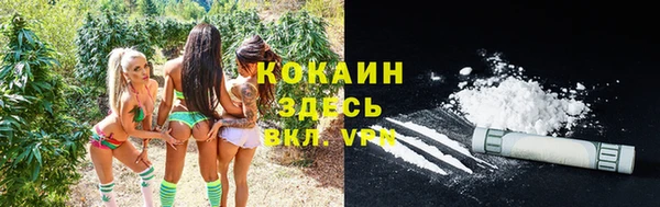 трава Горняк