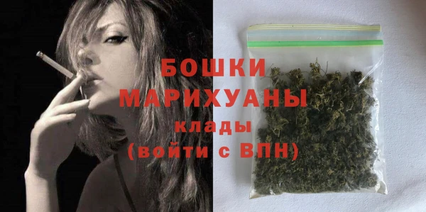 ALPHA-PVP Гусев